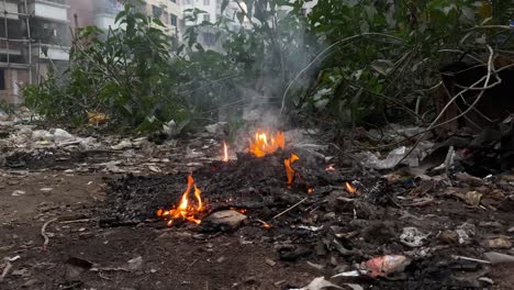 residuos quemando humo