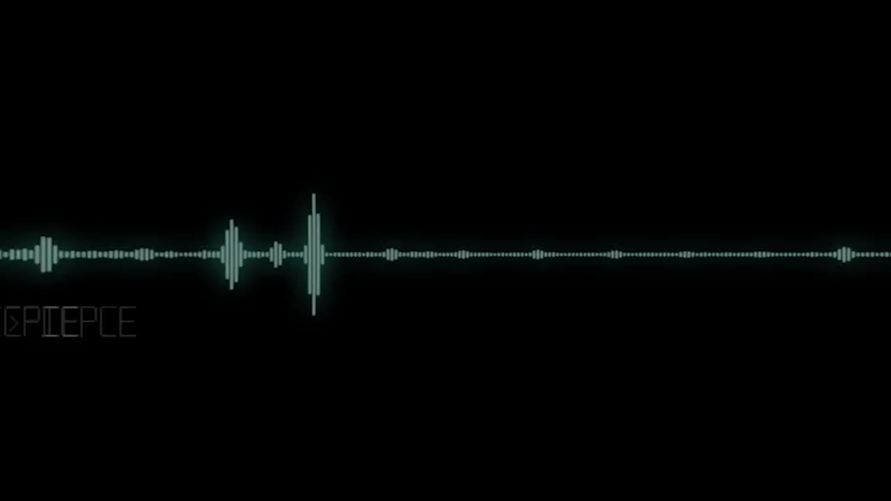 통계 및 데이터 관리에 대한 오디오 시각화