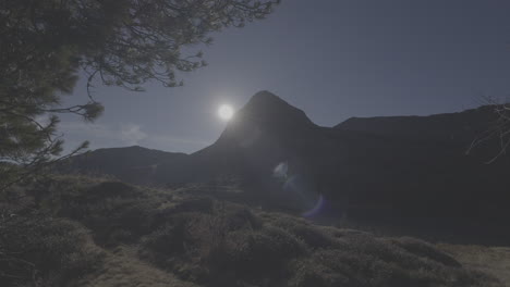 mountain scenery with pine trees and sun