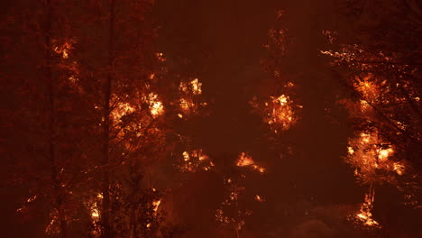grandes llamas de incendios forestales por la noche