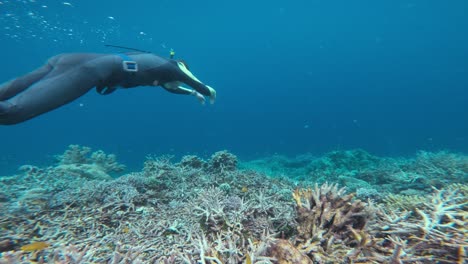 a professional free-diver in a swimming wetsuit explores vibrant coral reefs in the crystal-clear blue waters