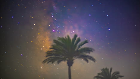 árbol de palma y el cielo vibrante de la vía láctea, vista de lapso de tiempo