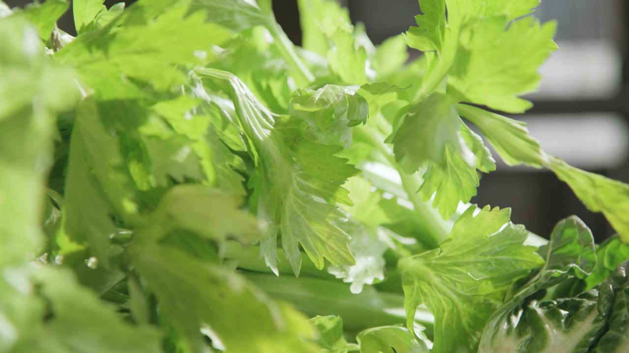 apio de hoja fresca en un banco de cocina de cerca 4k