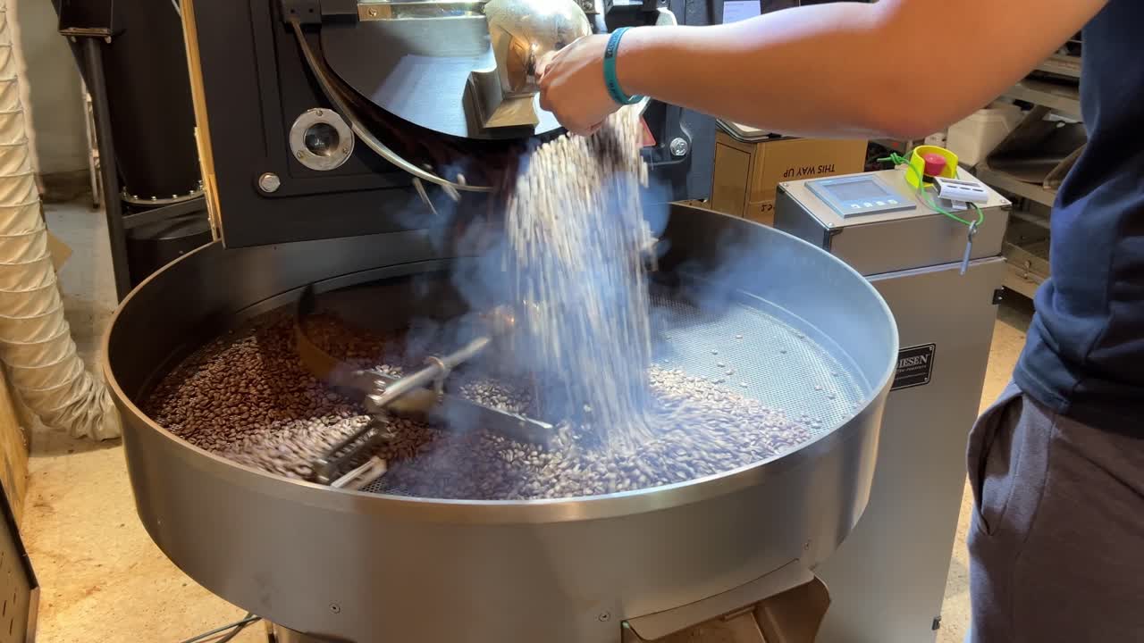 Coffee profession roasting coffee beans, releasing hot and aromatic beans pouring out on the cooling plate
