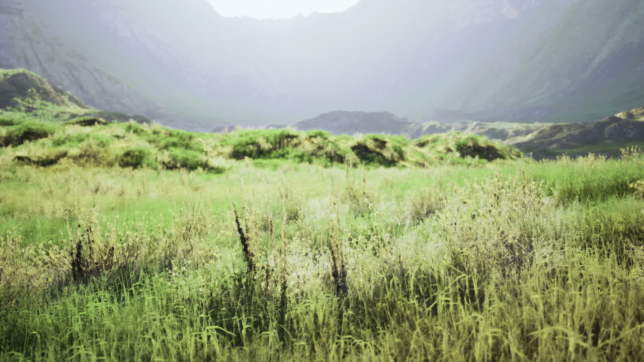Expansive green landscape with distant mountains during hazy daylight hours