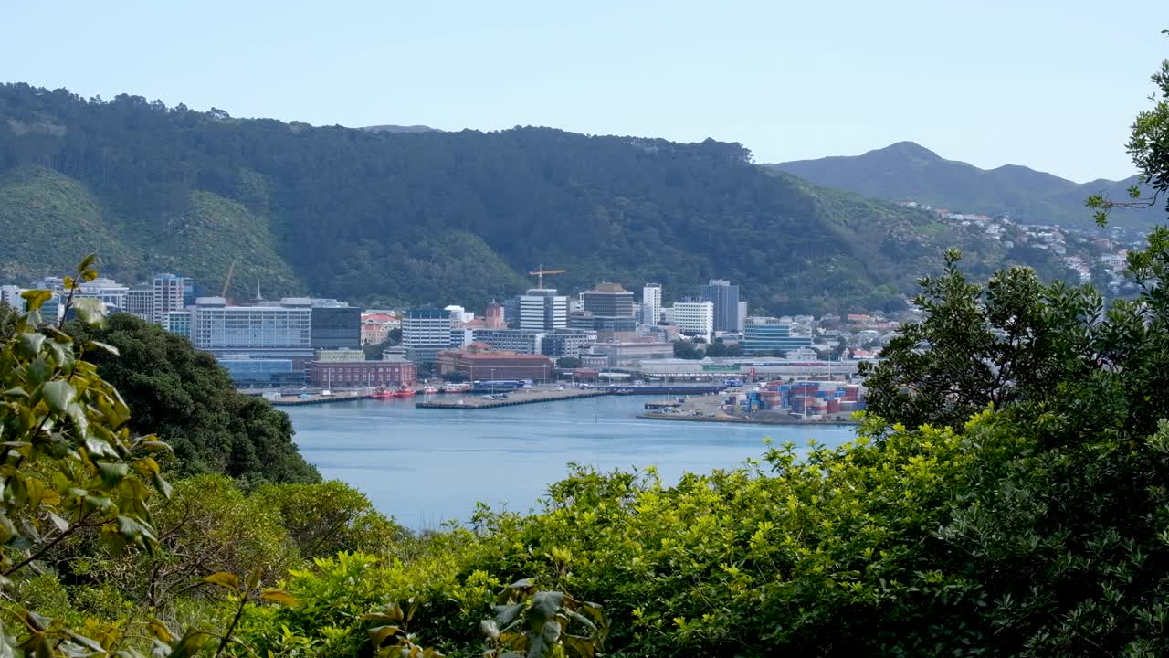 Scenic view overlooking Wellington Harbour and port with city skyline in capital city of Wellington, New Zealand Aotearoa