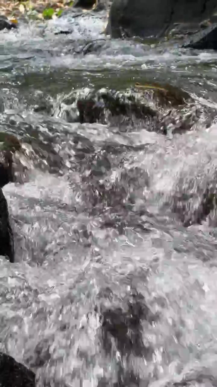 Acqua cristallina che scorre sulle rocce in un ruscello nel bosco