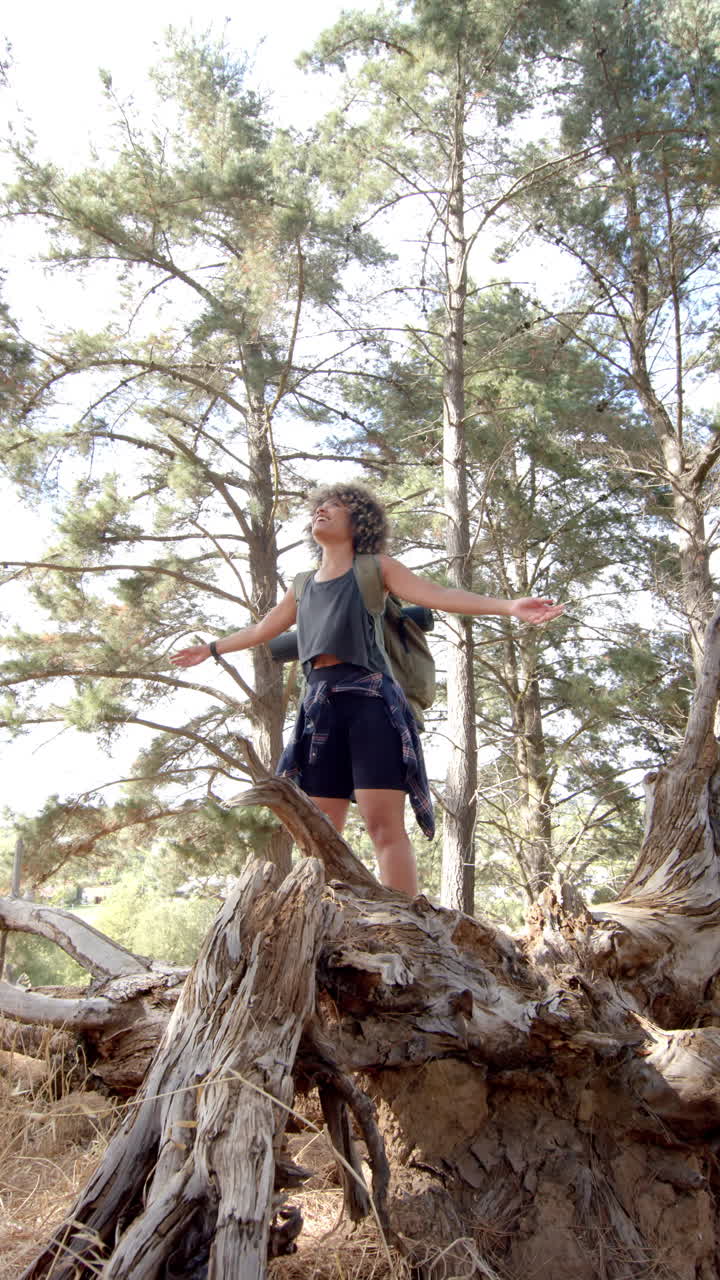 Vertical video: Hiking in forest, woman standing on tree trunk with arms outstretched