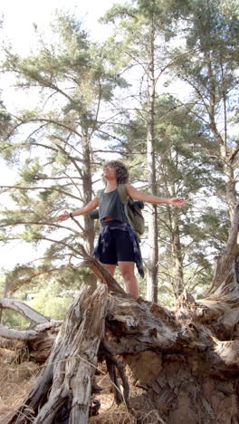 vertical video: hiking in forest, woman standing on tree trunk with arms outstretched