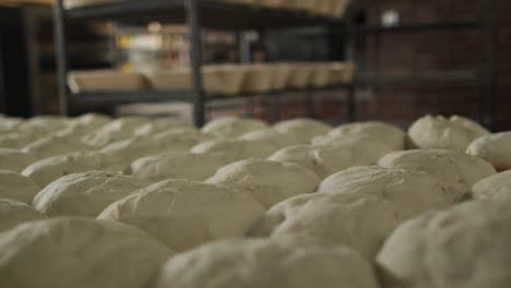 animation of bread prepared for baking at bakery