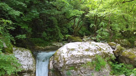 The-river-is-bathed-in-a-magical-sunlit-glow,-embraced-by-green-forest-trees-and-luxuriant-greenery,-forming-an-enchanting-scene