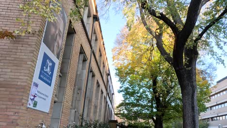 árbol y edificio en el campus de la universidad de melbourne