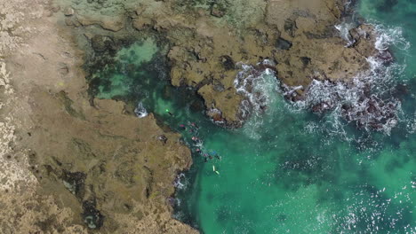 Aerial-rises-over-snorkel-tourists-in-turquoise-sea-water,-rocky-coast