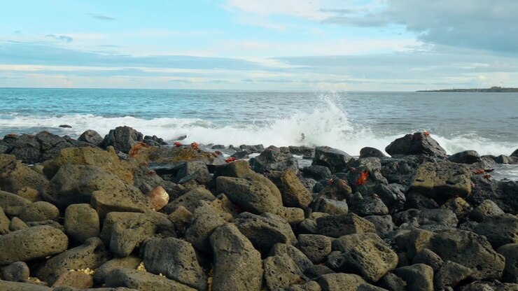 Brænding og vulkanske klippeblokke langs Galapagos-kysten. Bølger bryder bag et felt af mørke klipper oversået med krabber under et bånd af skyer