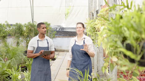 diverse gardeners in greenhouse discussing plant care while using digital tablet
