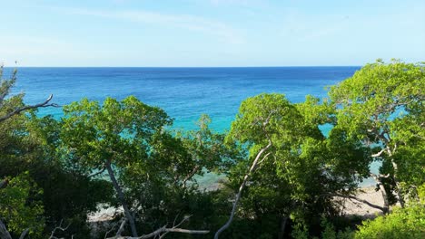 árboles-Secos-Y-áridos-Protegen-Una-Cala-Arenosa-Con-Aguas-Cristalinas,-Un-Dron-Asciende-Inclinado-Hacia-Playa-Hundu