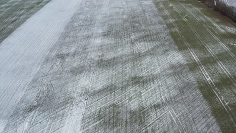 vista aérea delantera de los daños en los campos de granos congelados con líneas verdes rectas