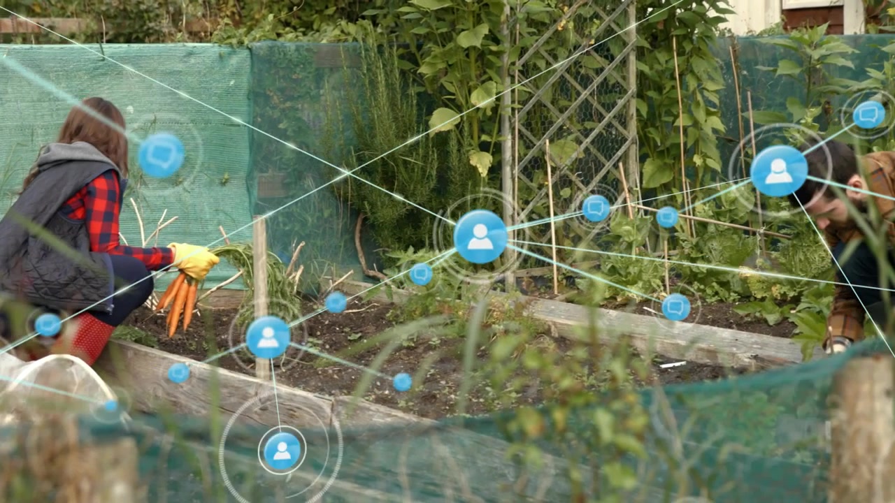Persone che raccolgono verdure in un orto comunitario con sovrapposizione di rete digitale