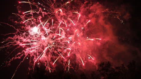 fuegos artificiales barcelona 09