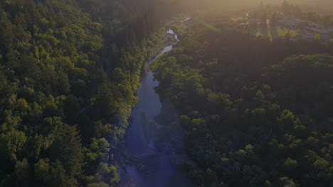 Healdsburg-aerial-view-over-woodland-Birdseye,-rising-tilt-up-Del-Rio-woods-hazy-sunlit-forest-hillside