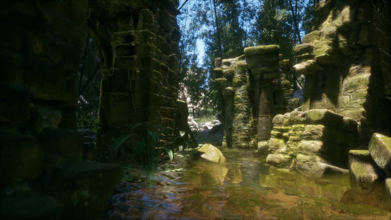 숲 속 의 돌 폐허, 버려진 고대 성