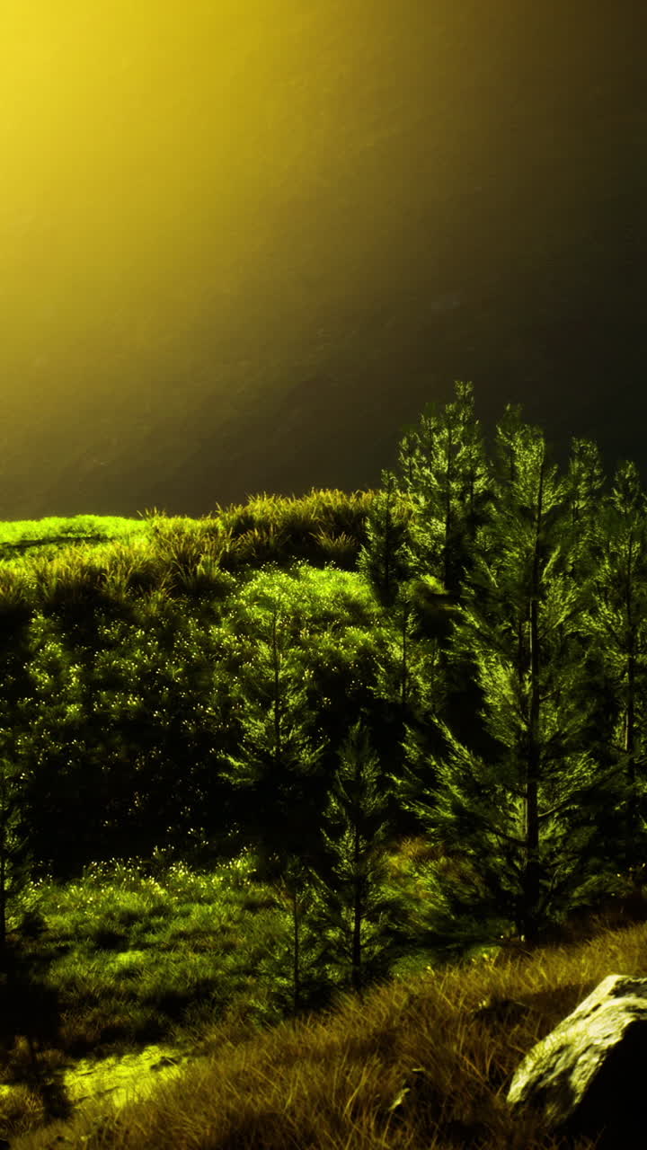 Sunlight casts warm glow over lush green hills in serene landscape