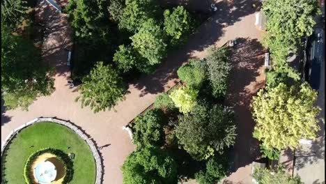 el parque de valladolid promueve la tranquilidad al convertirse en una zona peatonal vertical, libre de tráfico