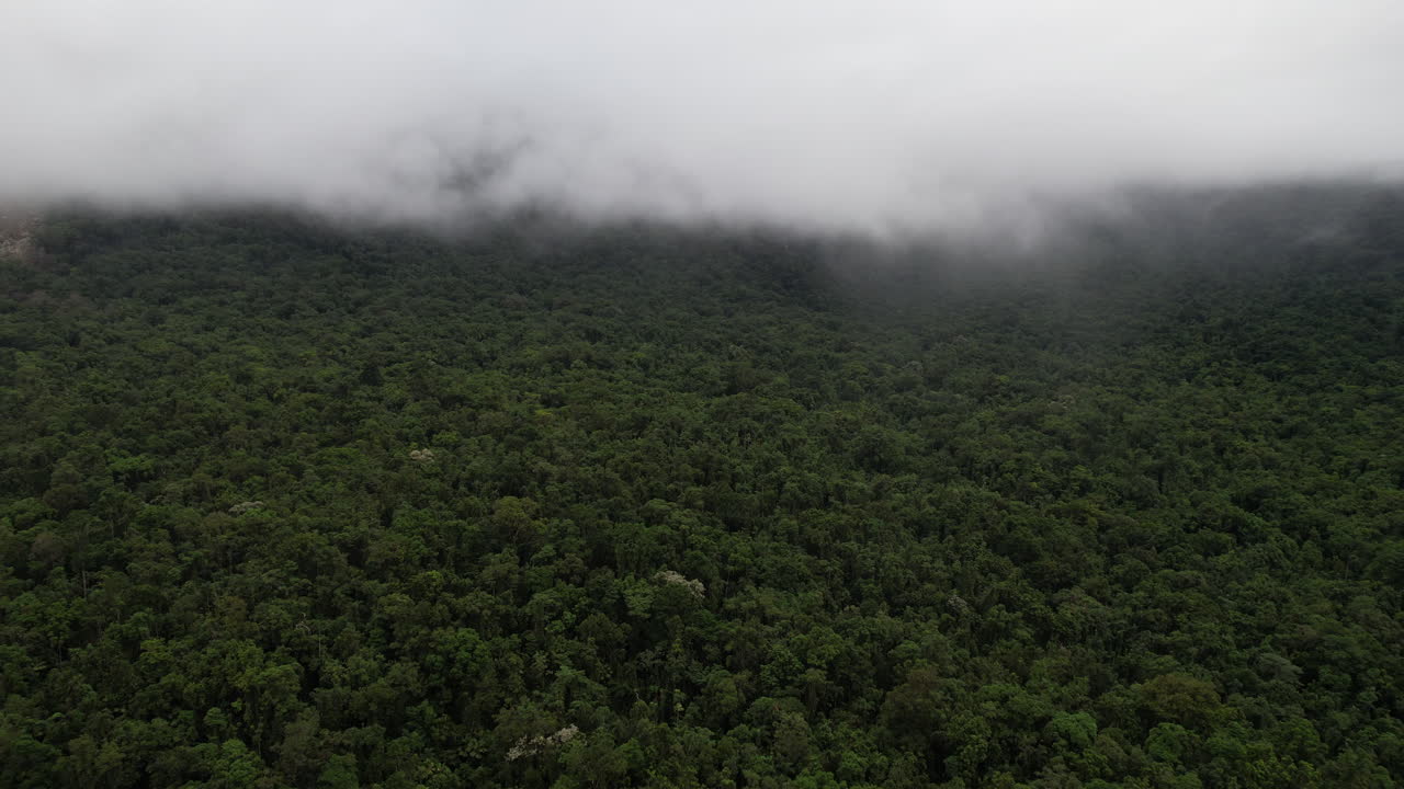 Aerial View of Mist Above Jungle Landscape, Drone Shot