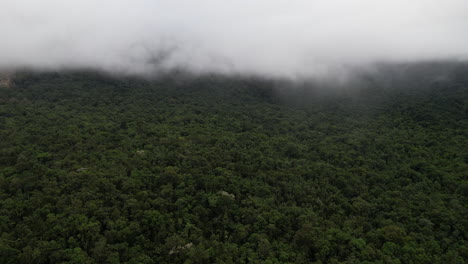 Vista-Aérea-De-La-Niebla-Sobre-El-Paisaje-Selvático,-Disparo-De-Drones