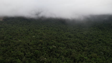 vista aérea de la niebla sobre el paisaje de la selva, tomada por un avión no tripulado