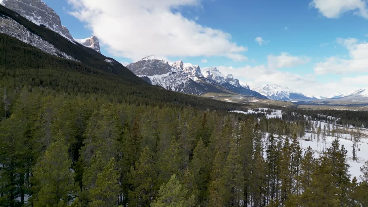 산과 함께 숲의 나무 위의 공중 뷰 - 드론 4k