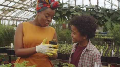 african american woman talking with son in greenhouse farm