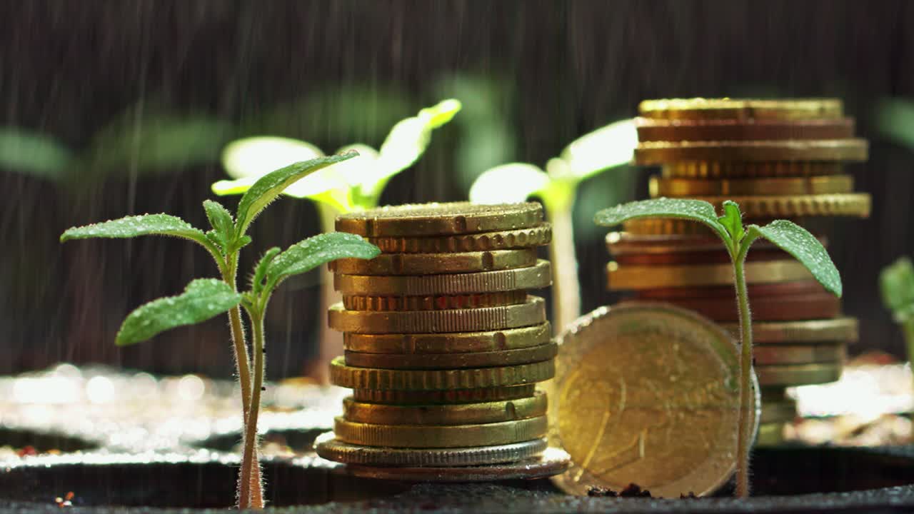 montar monedas de euro en una bandeja con una planta de tomate joven en la olla de siembra, concepto de crecimiento empresarial o concepto de inversión