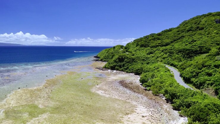 Veduta aerea di una strada tortuosa che segue la costa verde e frastagliata di Ishigaki, mostrando il contrasto tra fitta foresta e barriera corallina.