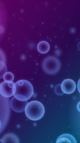 motion graphic of bokeh background