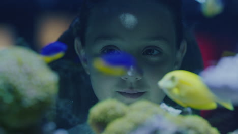 happy girl looking at fish in aquarium curious child watching colorful sea life swimming in tank learning about marine animals in underwater ecosystem inquisitive kid at oceanarium