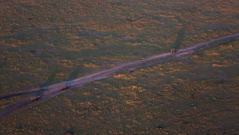 aerial drone wide shot of 4x4 safari jeeps driving through vast grassland in kenya, africa during sunrise