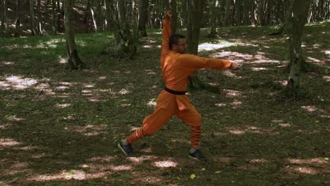 black belter man with sword doing kung fu exercises in the forest. - wide shot