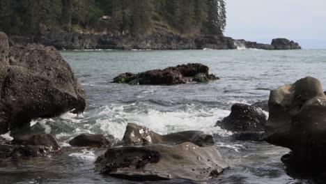 Slow-motion-of-sea-waves-hitting-rocky-shore,-dense-pine-tree-forest-in-background-on-a-cloudy-day,-Sombrio-Beach,-British-Columbia,-Canada