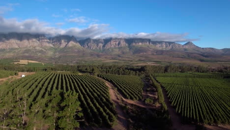 ariel drone shot of man standing in rural landscape