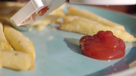 a plate of french fries with ketchup