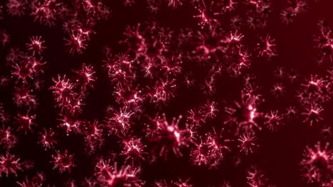volando muchas células de virus en fondo rojo. concepto médico, ilustración microscópica. animación 3d de la molécula de virus girando. animación de bucle.