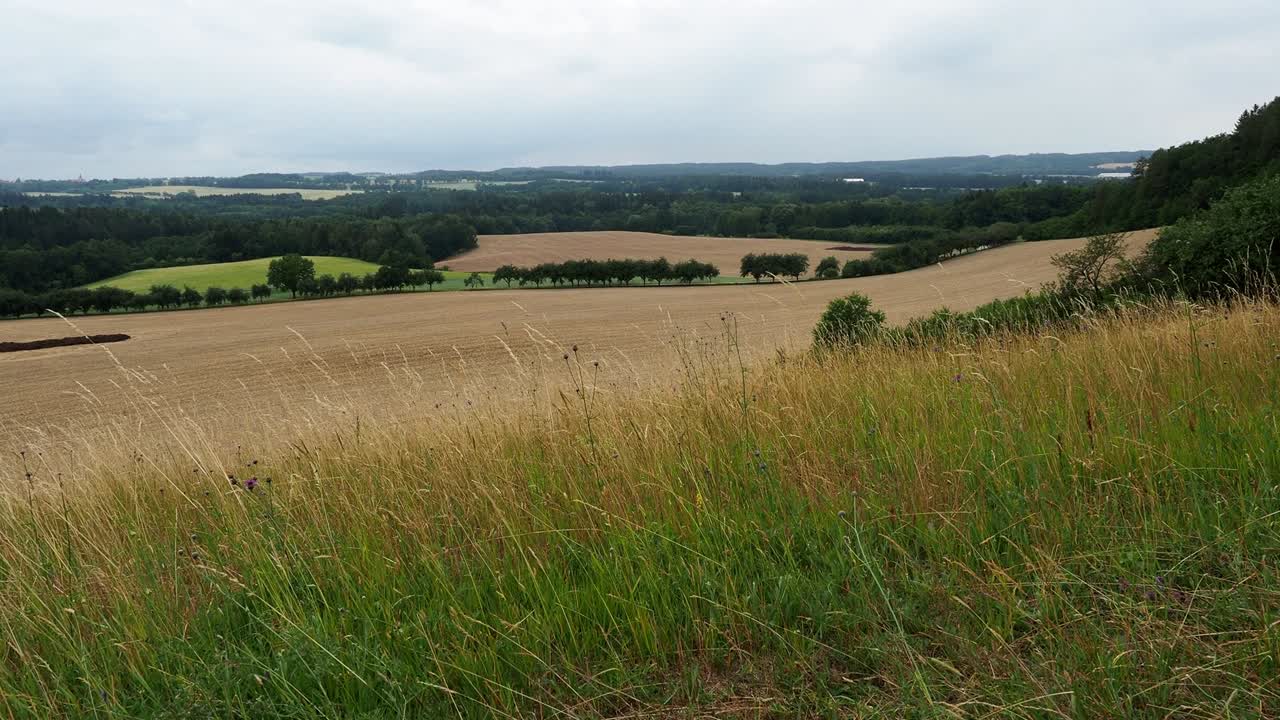 campo y bosque en la república checa. paisaje rural. campo en el tiempo de verano. paisaje agrícola.