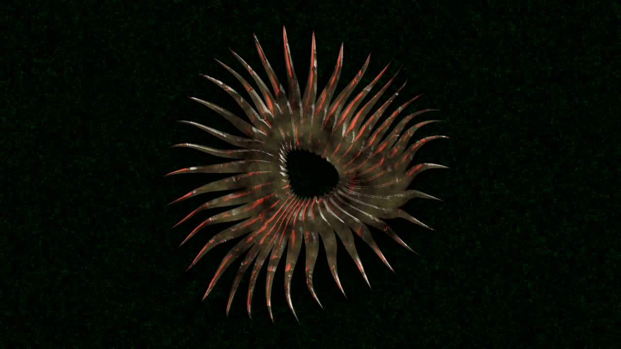 fondo abstracto pulsación flor orgánica pétalo florecer 8