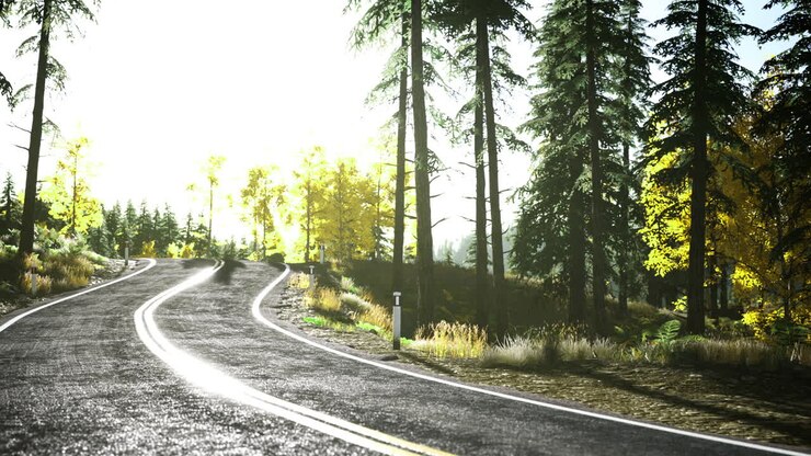 Strada tortuosa circondata da alberi in una pittoresca foresta durante il giorno