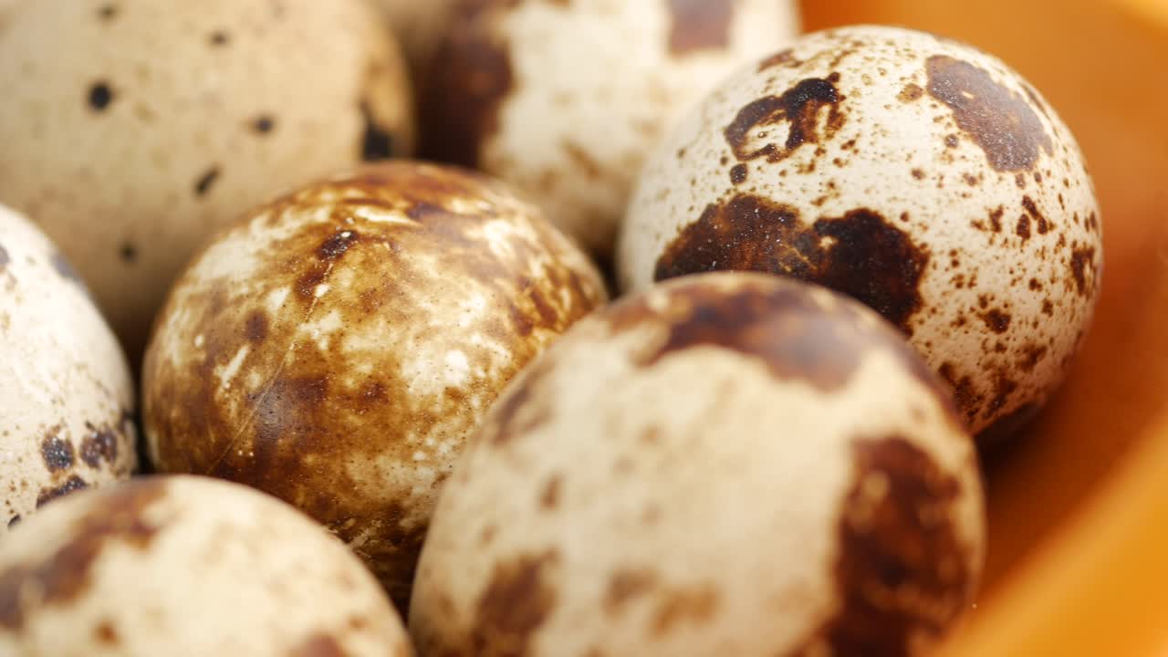 이 달의 클로즈업