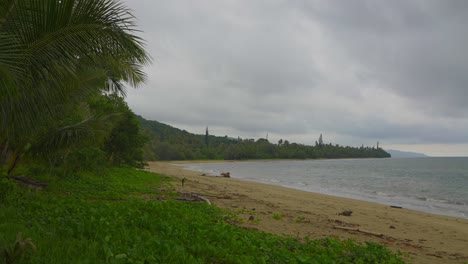 una cámara viaja hacia la derecha, ofreciendo una visión de la impresionante belleza de un bosque tropical y una playa caribeña en un día nublado y atmosférico