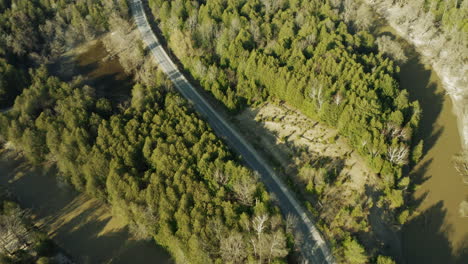 Winding-country-road-shrouded-in-dense-forests-and-trees