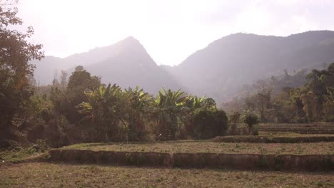 rice-terraces-and-fields-with-mountain-backdrop-in-the-mountain-town-of-Nong-Khiaw-in-Laos,-Southeast-Asia