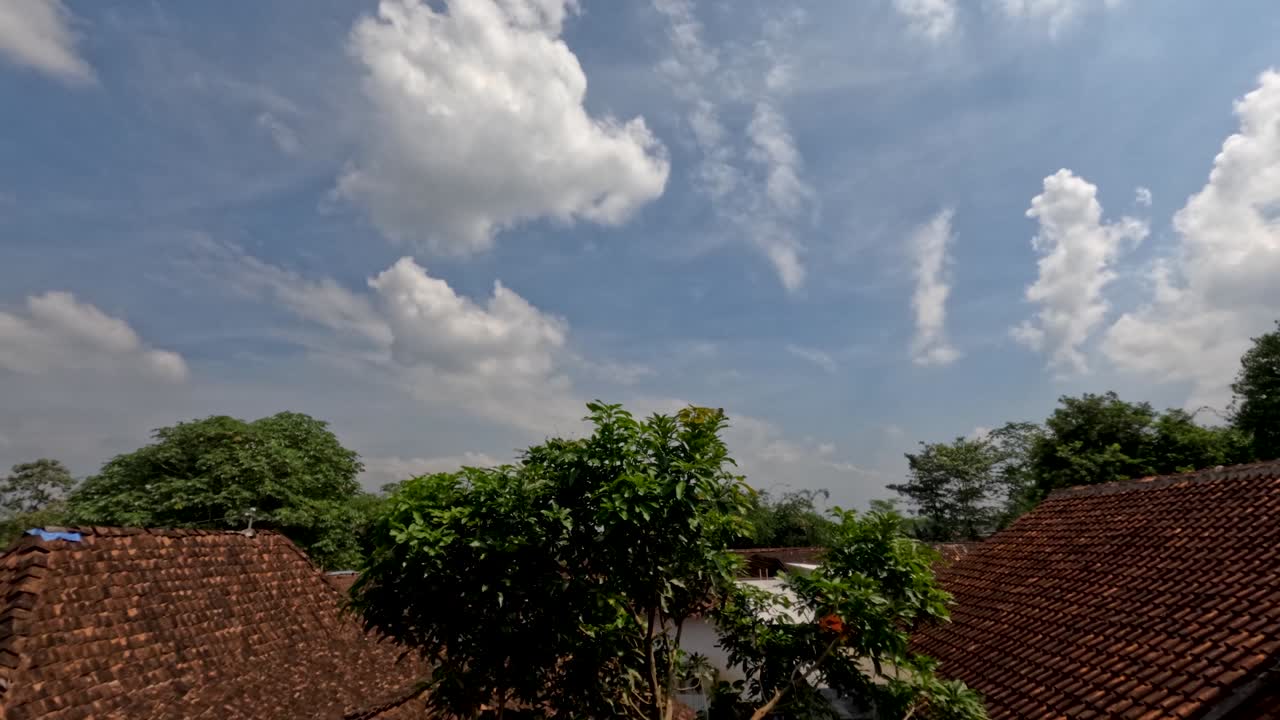 푸른 하늘에서  구름의 움직임의 시간 경과, 전면 녹색 잎